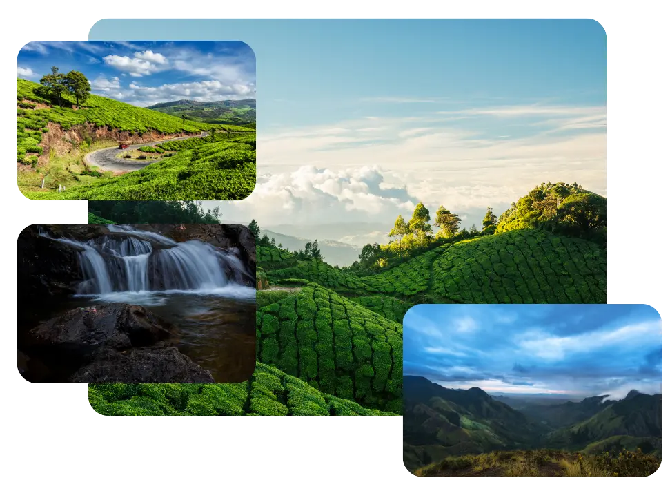 Munnar Tour Packages