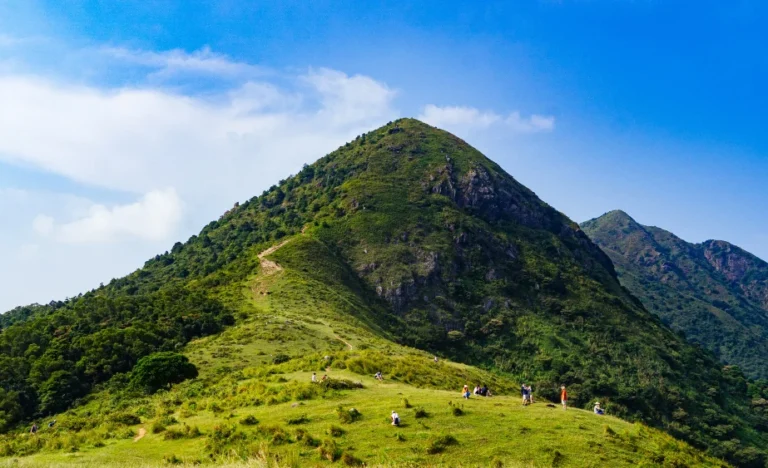 Munnar tour packages