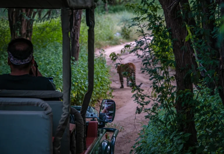 Kerala tour packages